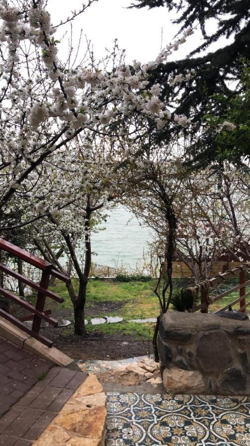 Zimer Al-Bayt Mas'ada Bagian luar foto