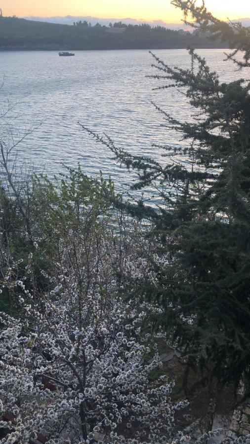 Zimer Al-Bayt Mas'ada Bagian luar foto